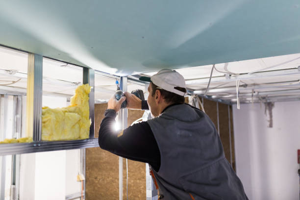 Best Insulation Installation Services in Elberton, GA